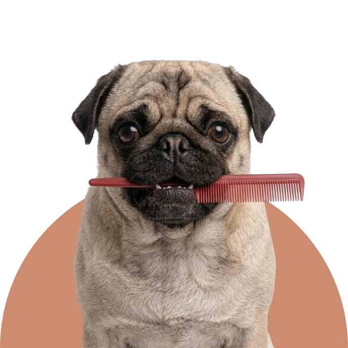 Anti-Poils pour chiens et chats