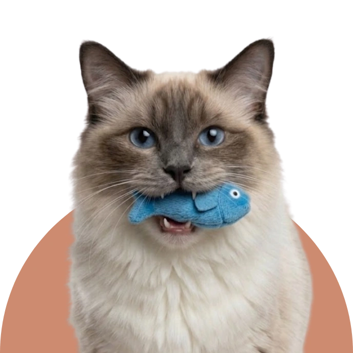 Jeux et jouets pour chats et chiens